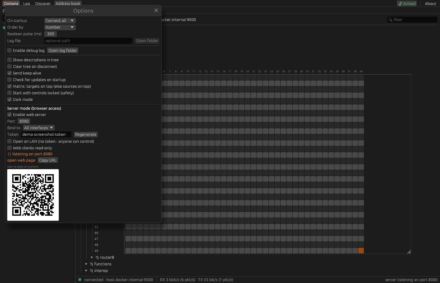 emberviewer Options dialog showing server mode settings - port, access token, open-LAN and read-only toggles - and a QR code to open the web UI on a phone
